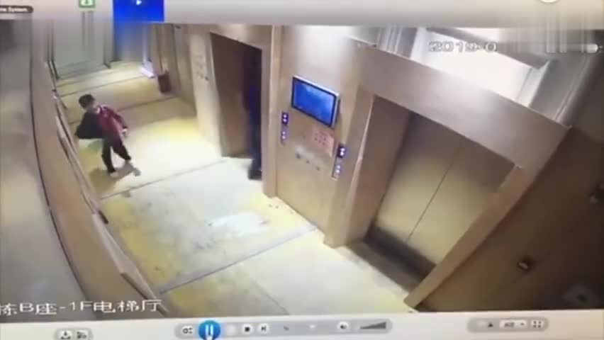 视频-9岁男孩等电梯时被突然冲出的3条大狗狂追 