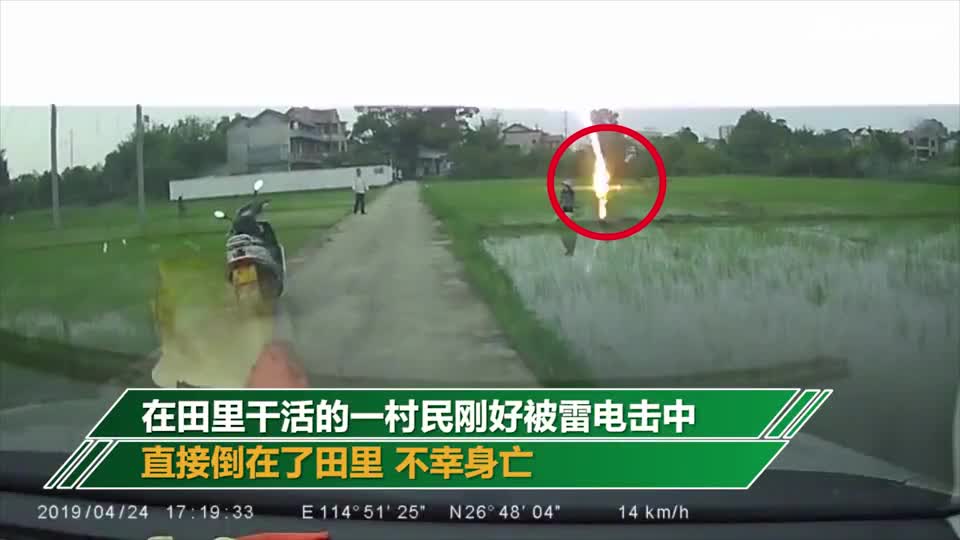 视频-江西一村民稻田里插秧 一声巨响遭雷击身亡