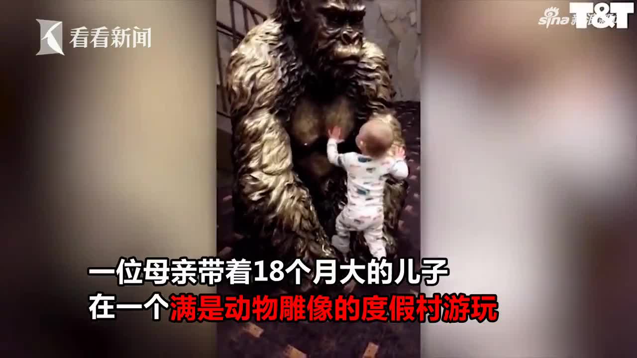 视频｜太饿！18个月大婴儿直接跑向黑猩猩雕塑要奶