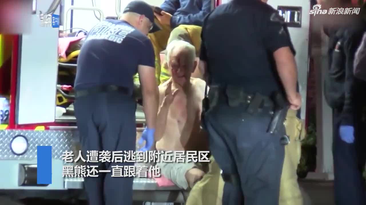 视频：84岁流浪汉露宿遭黑熊袭击 疯狂逃跑求助捡