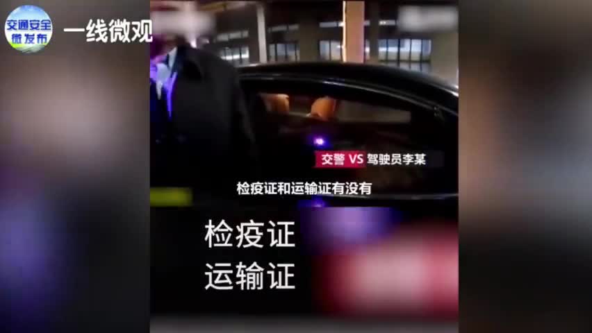 视频-小轿车塞62头猪上高速 被交警逮个正着