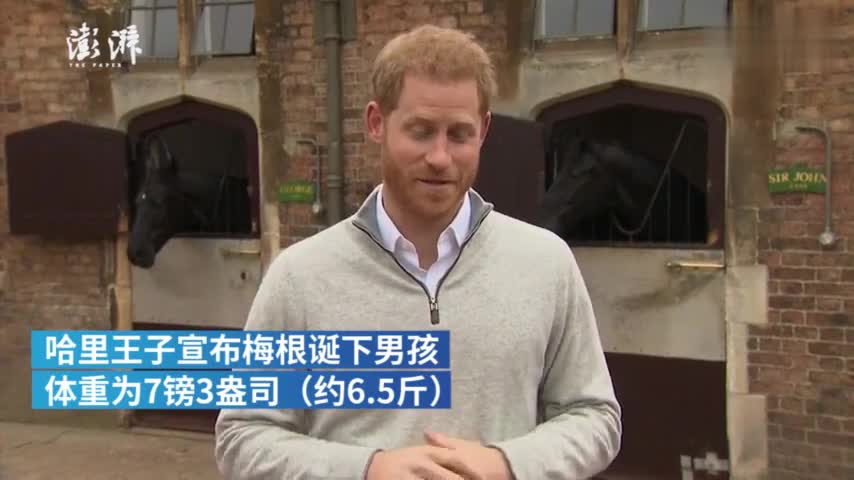 视频：哈里王子激动得直搓手 梅根王妃诞下男婴
