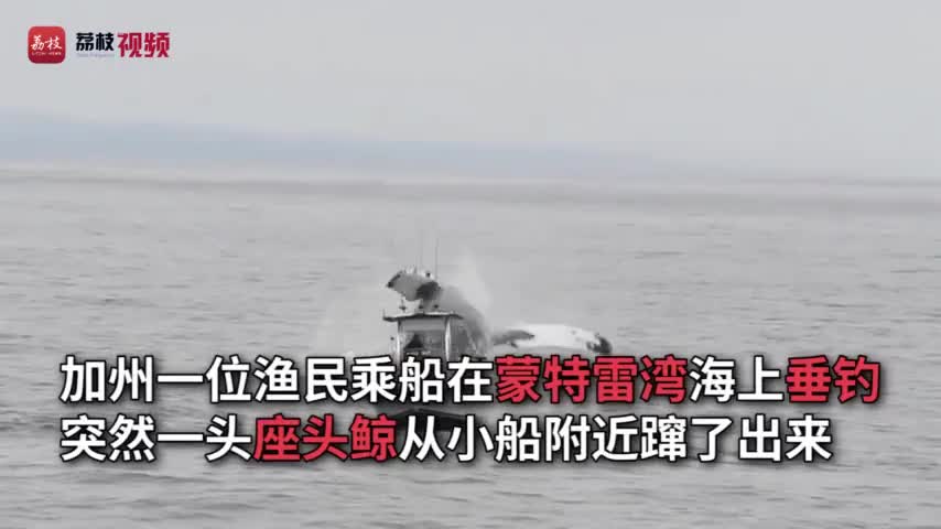 视频：渔民垂钓偶遇座头鲸蹿出 险些掀翻渔船
