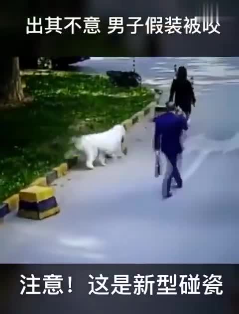 视频-发现狗狗就扑上去假装被咬伤 警方公布新碰瓷