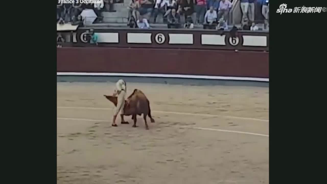 视频-斗牛士被公牛从臀部顶飞 还要坚持完成刺杀