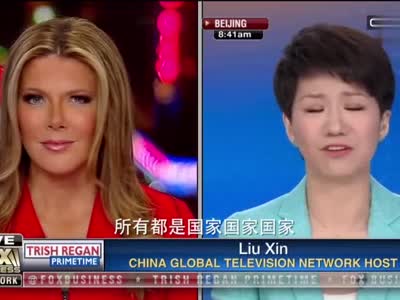 视频：刘欣谈中国特色社会主义经济