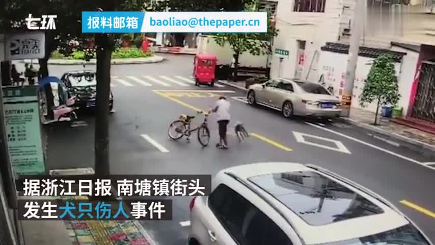视频-浙江乐清两只恶犬街头乱咬 其中一只狗咬了1