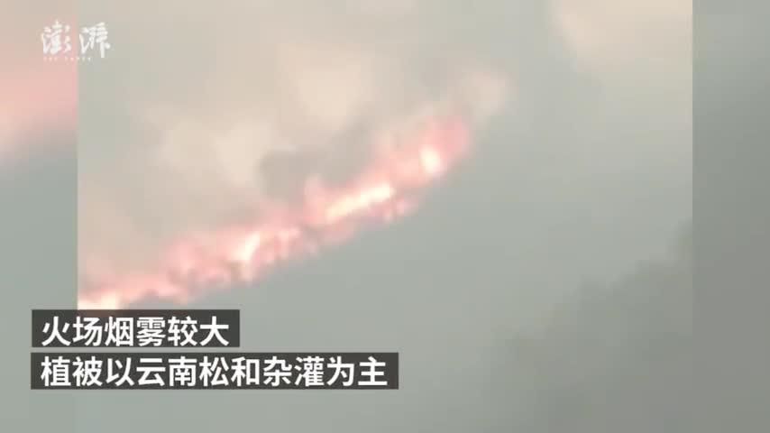 视频-凉山再发森林大火：雷击所致 仍在扑救