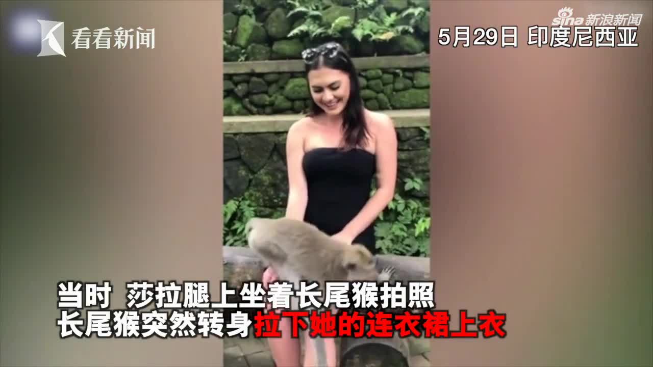 视频｜21岁女孩被猴子拉下裙子惊呆了 网友:反应