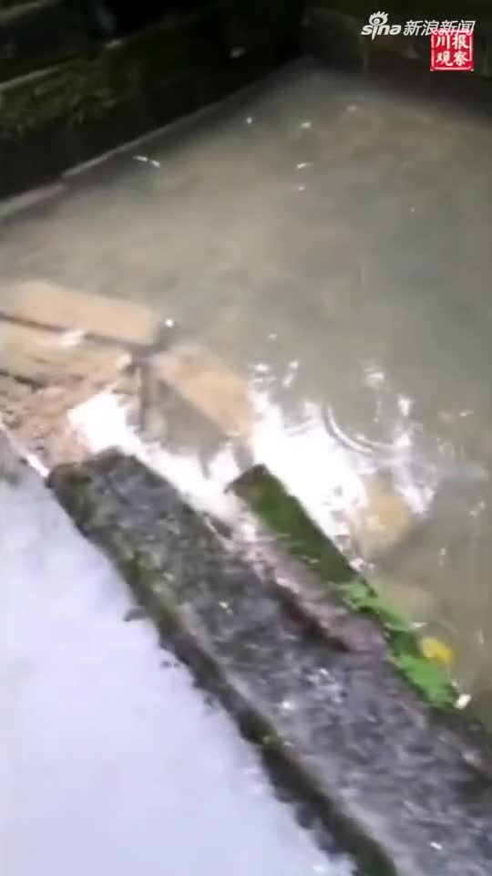 视频：好消息！四川地震中受损的葡萄井又开始蓄水了