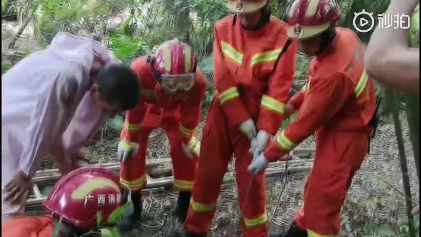 视频：300斤大水牛掉枯井 消防员机智灌水救牛