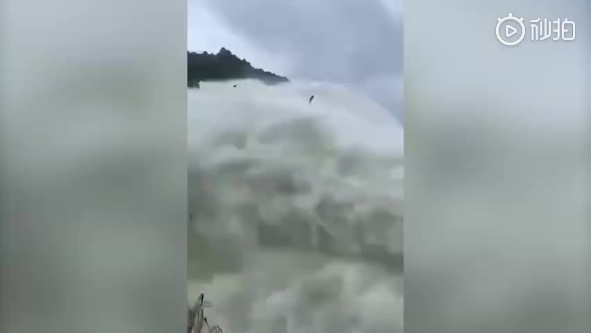 视频：千岛湖泄洪鱼群跨省飞跃 当地居民下游截胡满