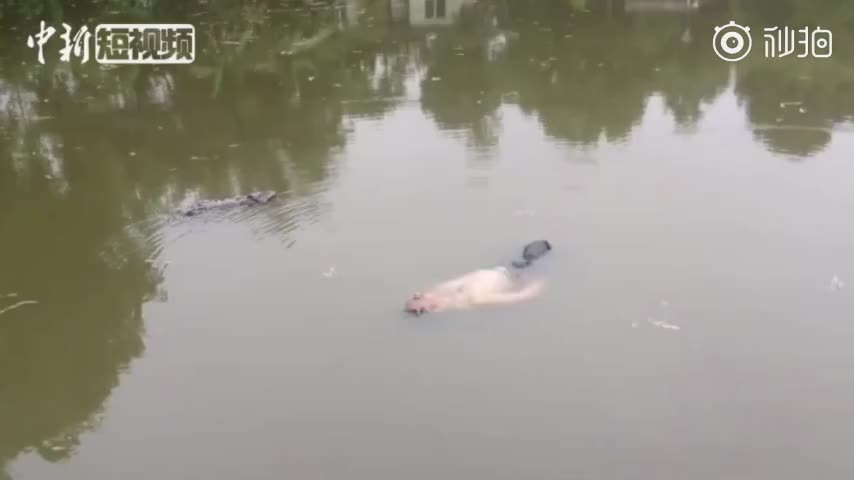 视频：醉酒男池塘漂浮一夜被当浮尸 捞起来时还在打