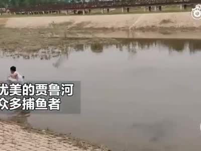 郑州景观河有人在用防尘网捕鱼苗 捕捞者：鱼小没刺炸着吃