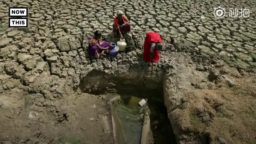 视频：印度遭遇严重干旱 近千万人面临缺水危机