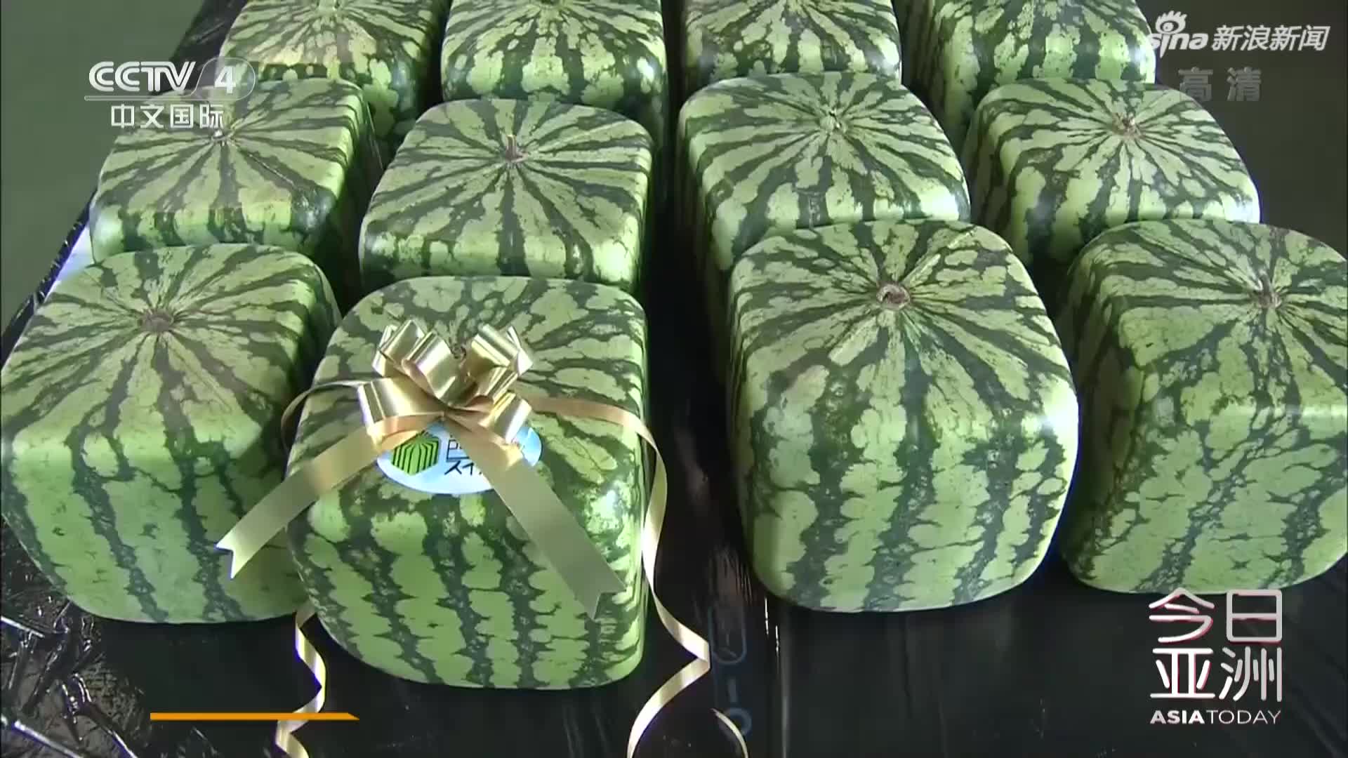 视频-日本出售方形西瓜  价格约为1.5万日元