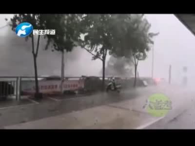 狂风“瀑布”突袭！郑州多处树倒车被砸！