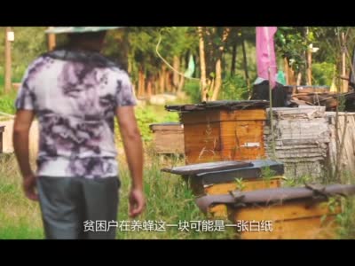 采蜂人酿出“甜蜜生活”