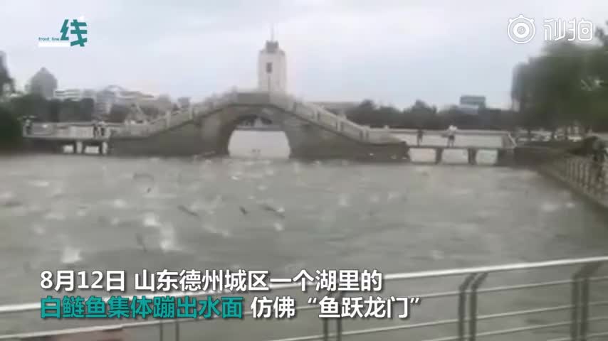 视频：台风