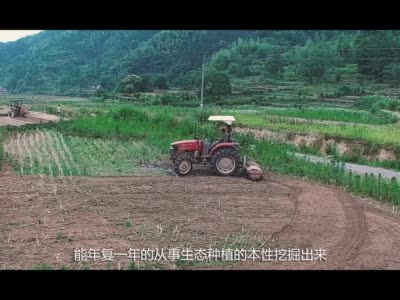 瑞昌芝麻