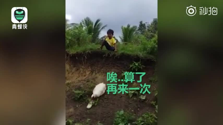 视频-谢谢你鸭！菲律宾一男孩鞋子掉泥里 热心鸭子