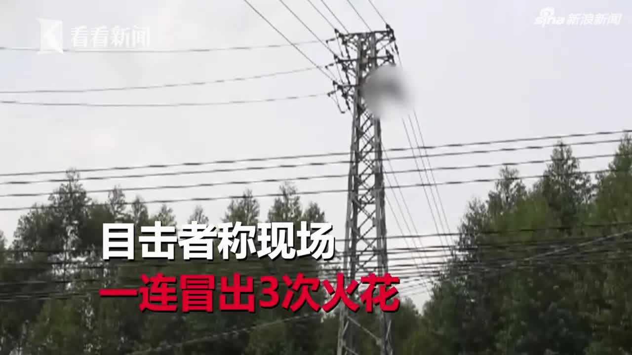视频：男子穿绝缘防蜂服爬高压电塔摘蜂窝 仍遭电击