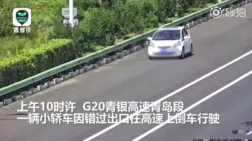 视频：司机在高速上倒车 竟把孩子当“雷达”指挥