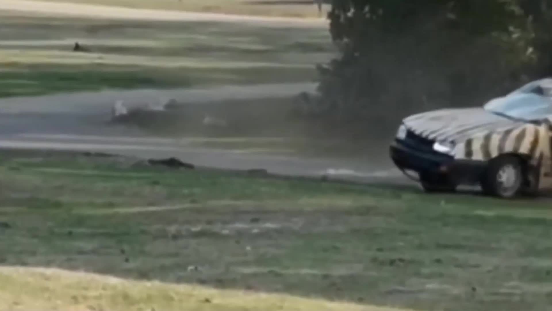 视频：野生动物园犀牛发脾气 三次将管理员汽车掀翻