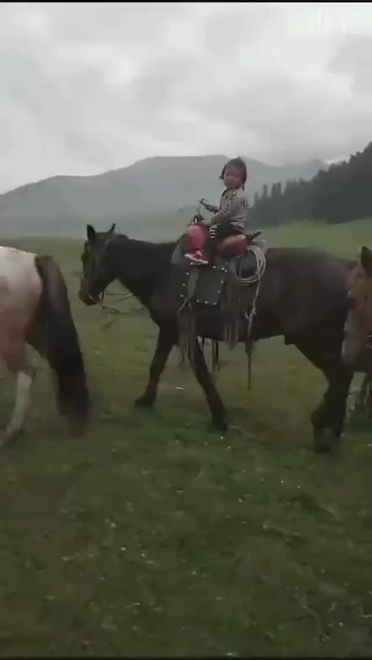 视频-新疆3岁女汉子草原骑马：游客抱上马，英姿飒