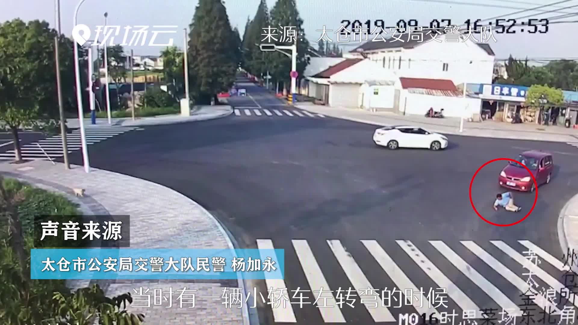 视频-男子过马路没走斑马线被撞 一旁小狗做了示范