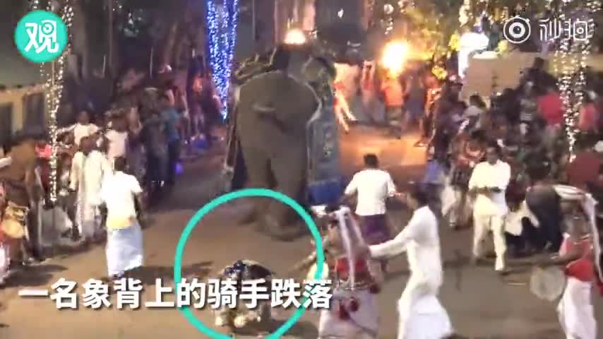 视频-斯里兰卡庆典2头大象失控冲撞人群 至少18