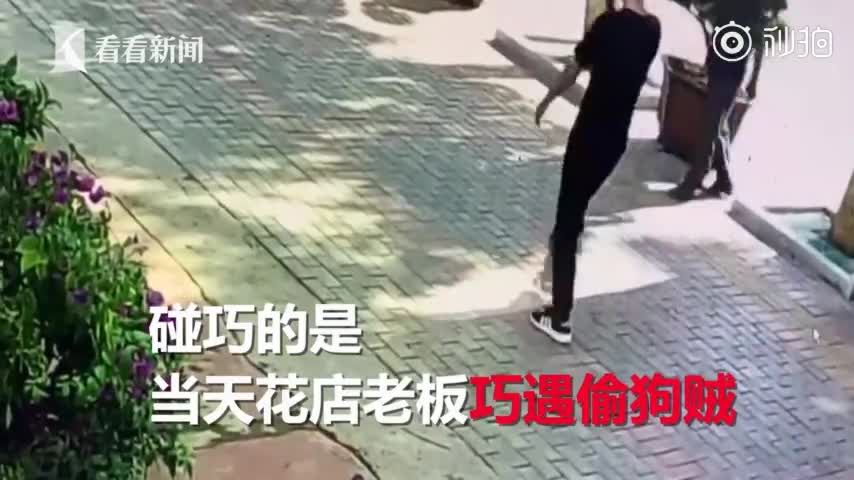 视频-60岁男子光天化日偷走宠物犬 被店主“巧遇