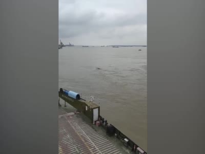 视频-“三峡水怪”事发地被指系安徽池州一码头，真身疑为防晒网