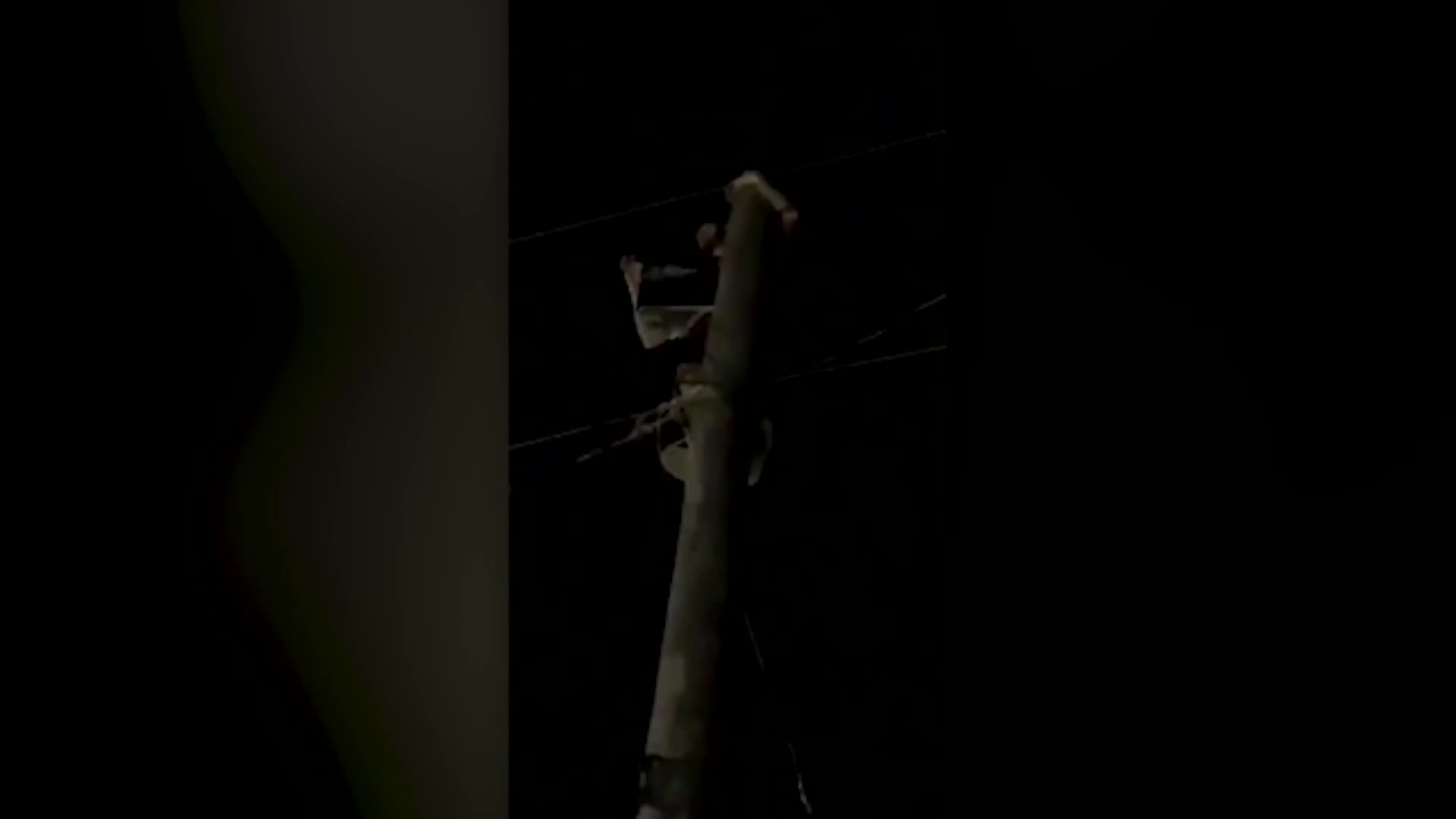 视频-美国一男子醉酒爬上9米高电线杆 遭电击后坠