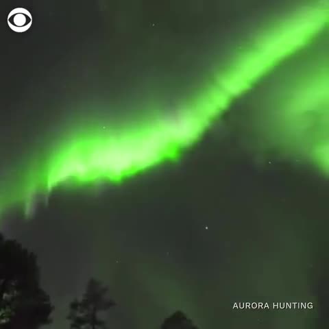 视频：芬兰天空出现绝美北极光 宛如“绿光森林”