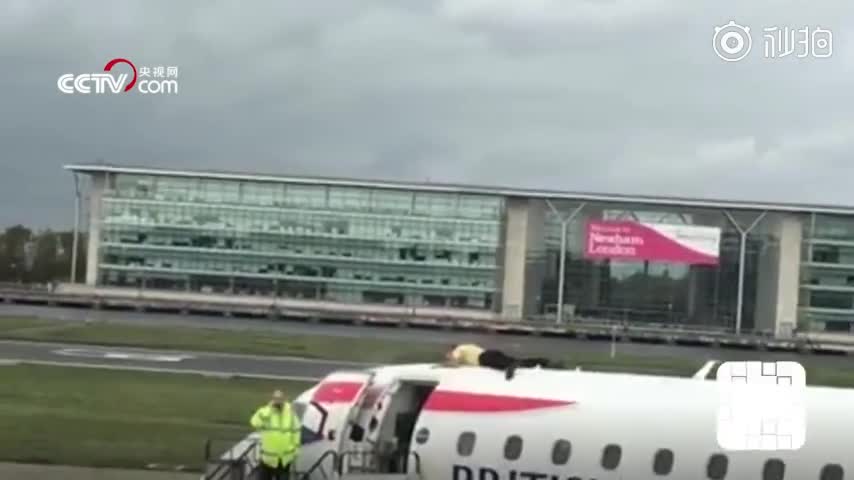 视频-环保人士大闹伦敦机场 有人爬上飞机躺下