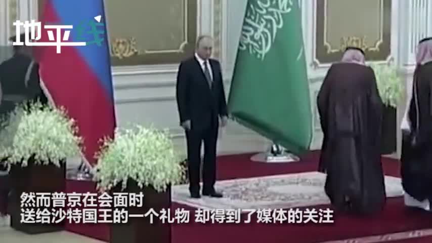 视频-普京时隔多年访问沙特 送给国王一只帅气猎鹰