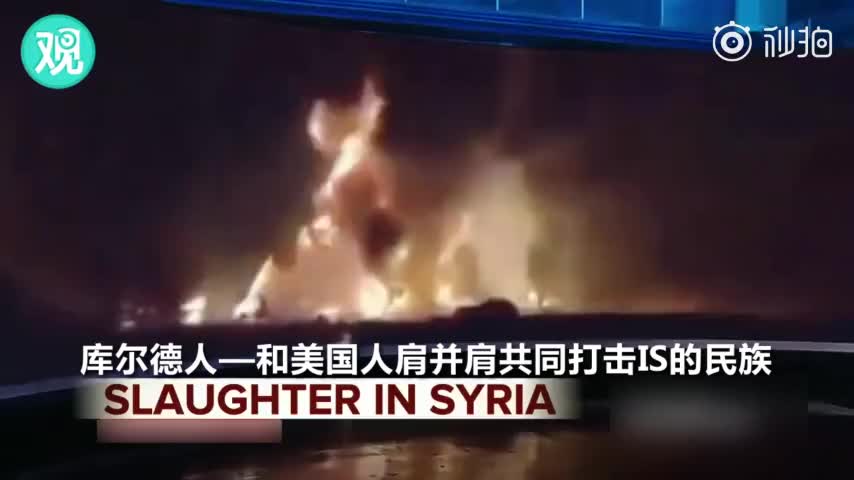 视频：假新闻石锤！ABC误把美国射击场视频当叙利