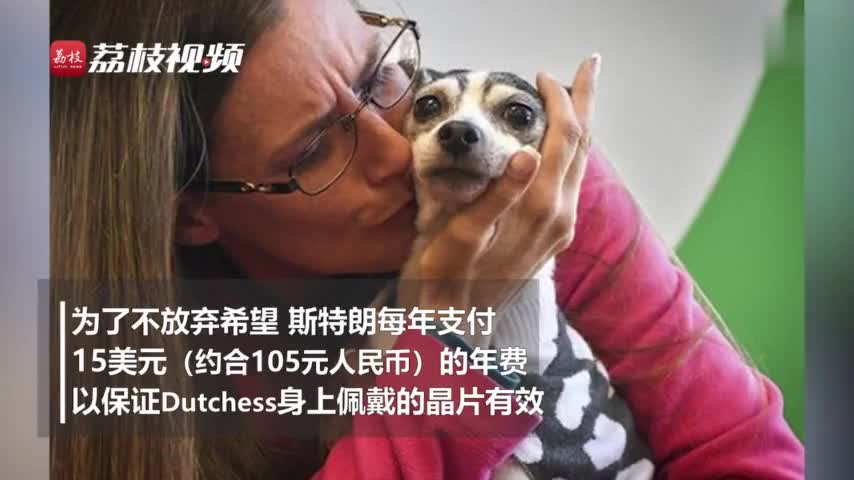 视频：狗狗走失12年离家1800公里 与主人重逢