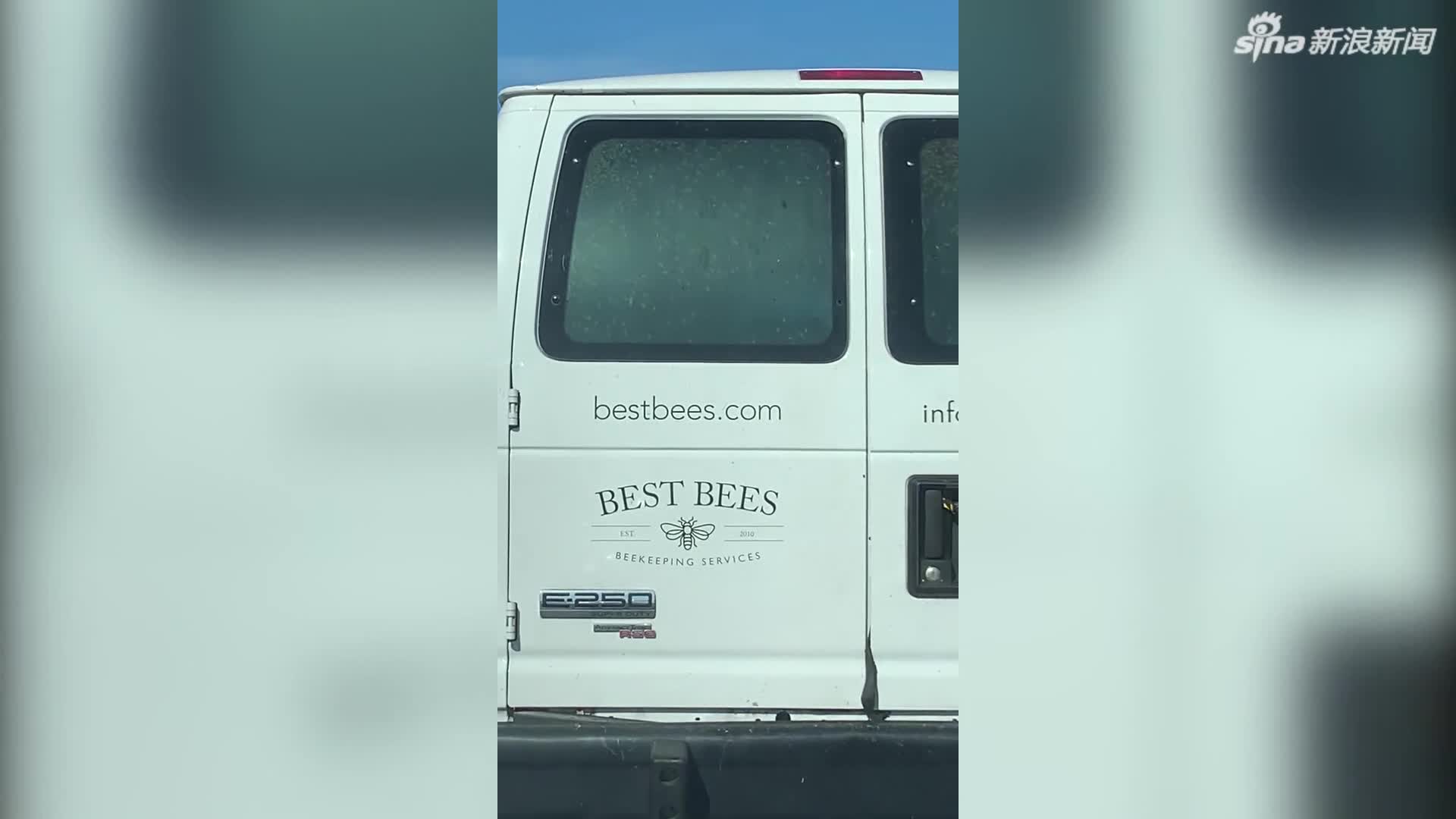 视频-养蜂公司运输中“泄漏” 蜜蜂密密麻麻爬满车