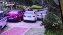 女子倒车:女子倒车撞到停放车辆 连踹被撞车8脚出气
