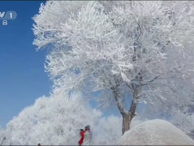 厉害了这15秒！吉林市冰雪形象宣传片登陆央视一套《新闻联播》前黄金时段