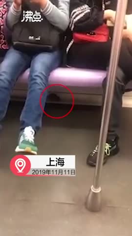 视频-男子地铁内淡定踩住老鼠 网友：下一步打算怎