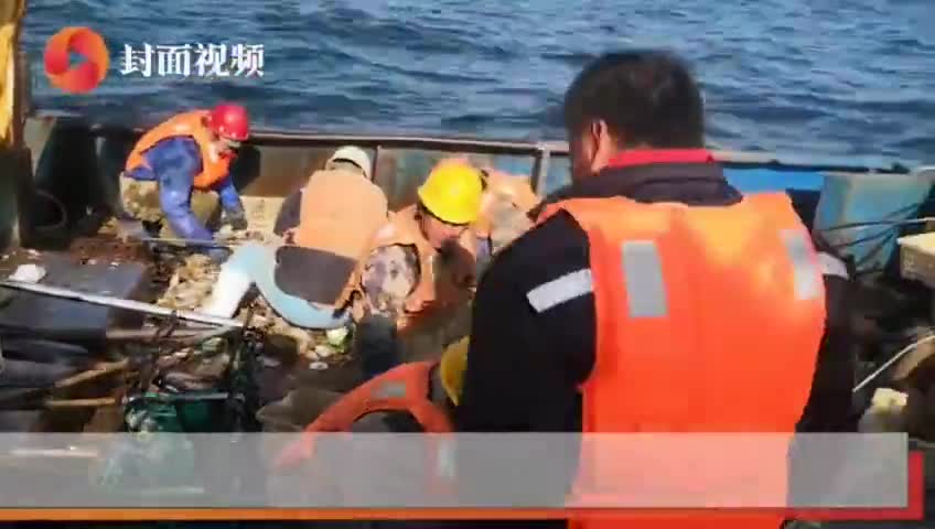 视频-记者实地探访受灾海域 獐子岛大部分扇贝剩空