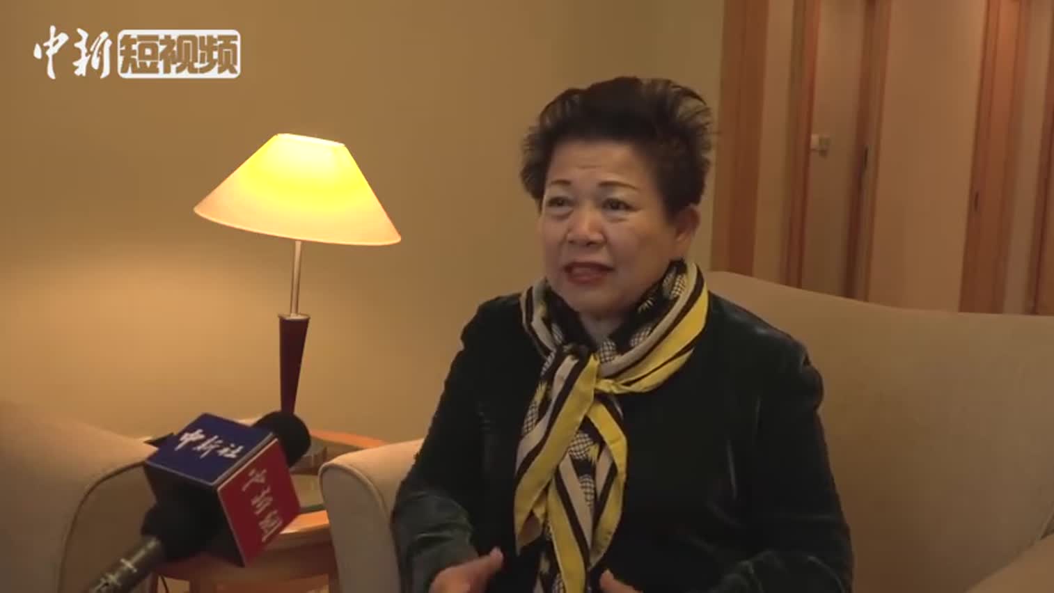 视频-侨商王琳达谈香港问题：最痛心的是看到学生们