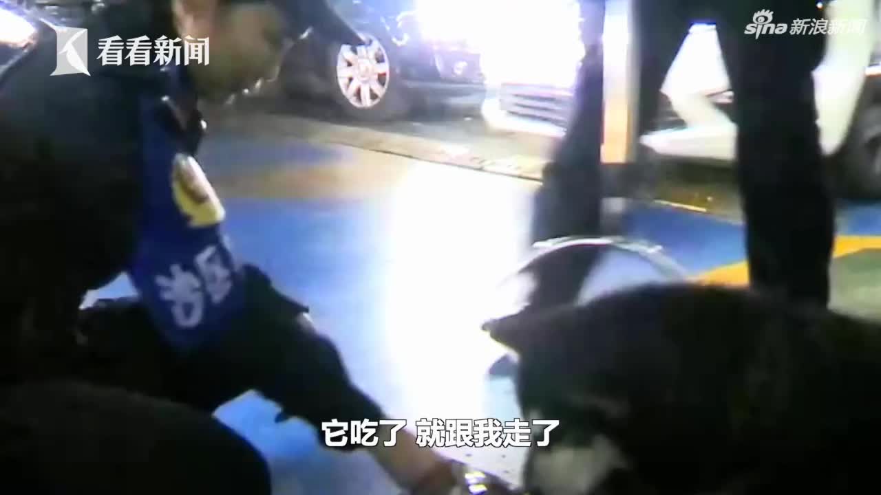 视频｜阿拉斯加大闹客运站 民警收留把它当“警犬”