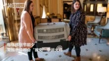 感恩节火鸡:2019年感恩节幸运火鸡“面包”和“黄油”被赦免