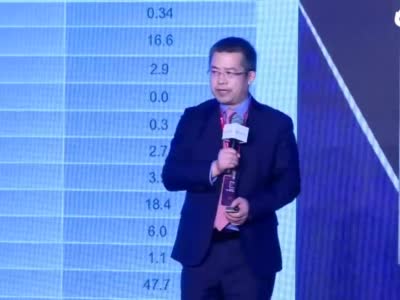 “预见2020·中国分析师大会”魏凤春演讲视频