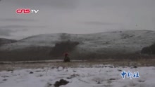 南北 :下雪了!带你看南北方过冬的不同“打开方式”