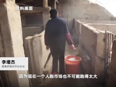 梅西呼吁抗击疫情是怎么回事?梅西呼吁抗击疫情是真的吗?
